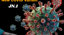 Is COVID Back With Its New Variant?  What You Should Know About JN.1

