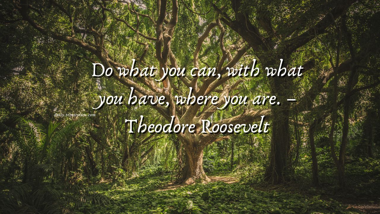 Do what you can, with what you have, where you are. – Theodore Roosevelt