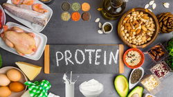 Top 10 High-Protein Foods to Boost Your Daily Diet and Health