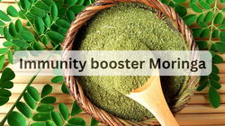 How Moringa Helps Boost Immunity Naturally
