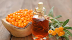 Why Sea Buckthorn Belongs in Your Daily Diet