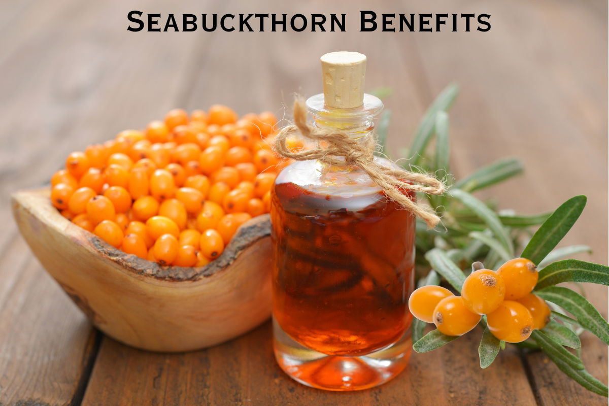 Why Sea Buckthorn Belongs in Your Daily Diet