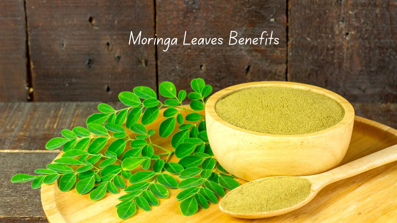 Why Moringa Leaves Are a Natural Remedy for Better Health