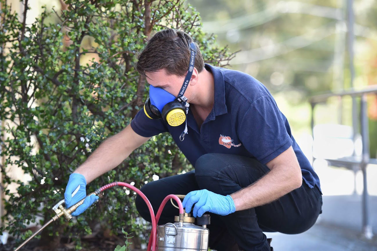 Pest Control Experts – Call To Reclaim Your Space From Bugs And Rodents!