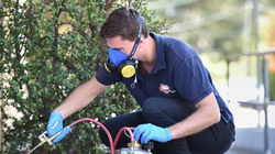pestexpress
