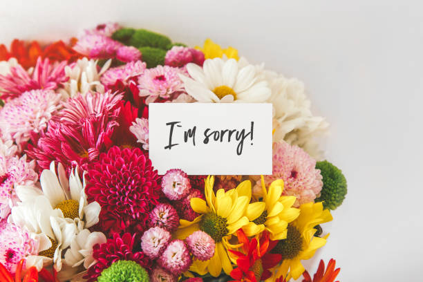 Apology Flowers: Blooms That Hold Space When Words Can’t