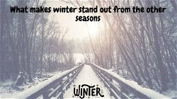 What makes winter stand out from the other seasons?