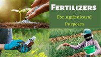 Fertilizers for Agricultural Purposes: Their Benefits and Drawbacks
