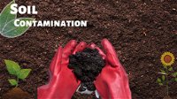 Contamination of Soil: What Causes It and How Can It Be Prevented?