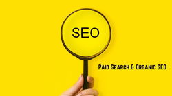 What is the Difference between Paid Search and Organic SEO?