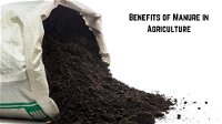 Benefits of Manure in Agriculture and its Impact on Soil Fertility and Environment