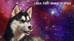 Laika: The First Animal in Space
