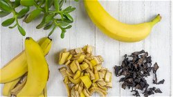 Creative Uses for Banana Peels You Never Thought Of