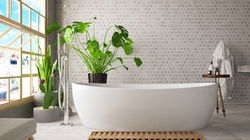 Six Things You Shouldn't Keep in Your Bathroom: Tips for a Healthier and Cleaner Space