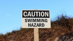 Beware of These Lethal Aquatic Creatures: Swimming Hazards You Need to Know