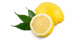 Lemon: More Than Just a Citrus Fruit! Unleashing the Uses and Benefits of Lemons