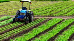 Japan's Innovative Technologies for Sustainable Solutions: Revolutionizing Agriculture in Hostile Environments