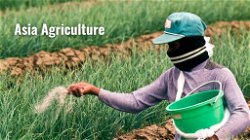 Agricultural Practices in Asia: Major Farming Systems and Adaptation Measures