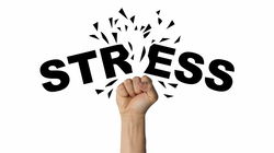 Stress Management: Understanding the Impact and Different Forms of Stress