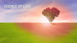 Unveiling the Essence of Love: A Profound Connection Beyond Boundaries