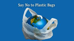 Say No to Plastic Bags: Embracing a Sustainable Future