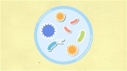 The Fascinating World of Microbes: Exploring the Microbiome and Its Influence on Health