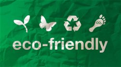 Eco-Friendly Practices: How Individuals and Businesses Can Make a Difference