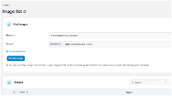 Deploy Tailscale in Portainer docker container Raspberry pi