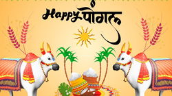 Pongal 2025 Special: 50+ Best Wishes, Greetings, and Quotes for Loved Ones